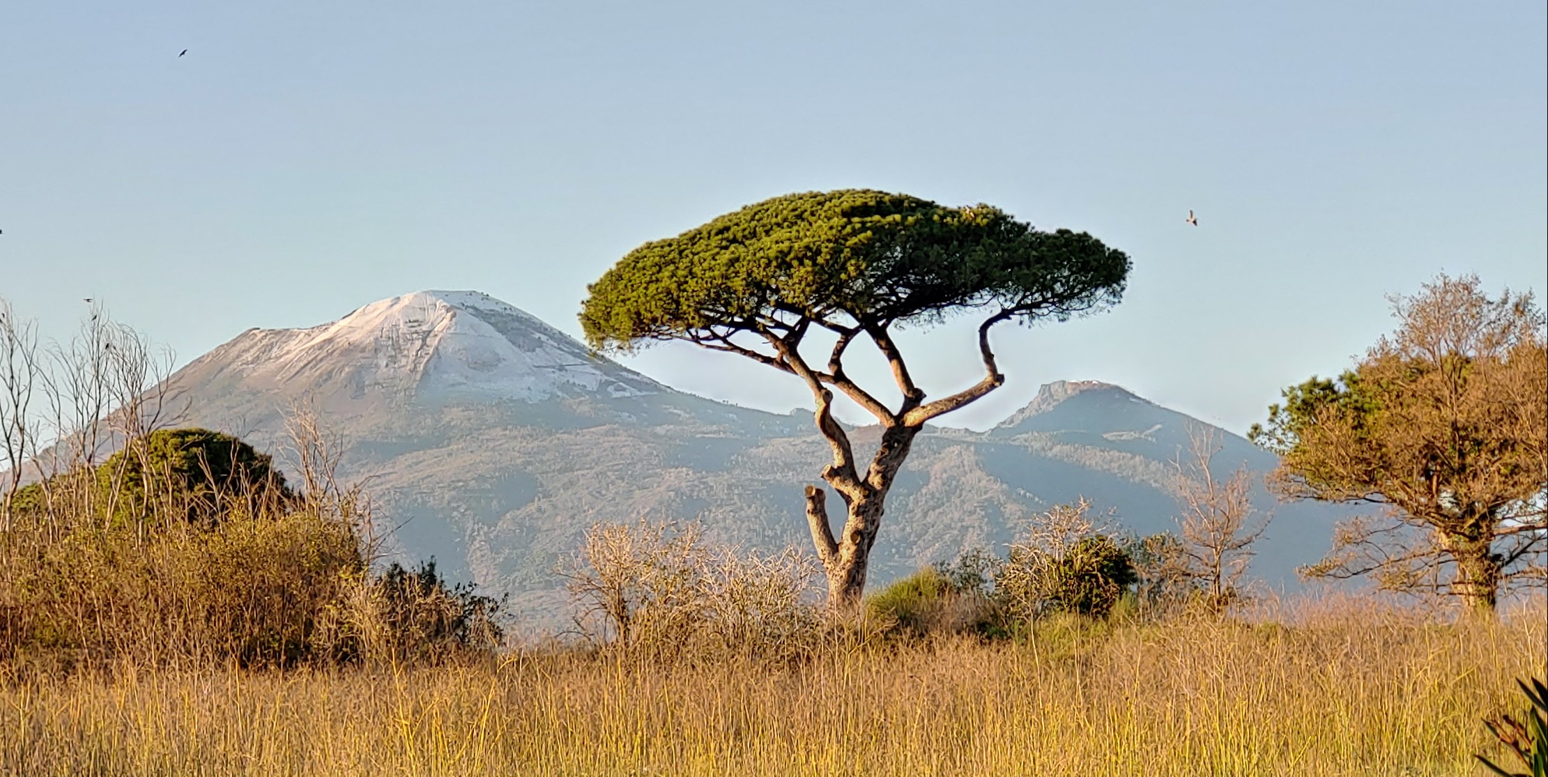 Vue du Vésuve enneigé depuis le site de Pompéi.
